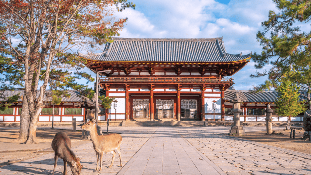 Dos ciervos en primer plano con un templo tradicional japonés al fondo en Nara.