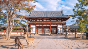 Dos ciervos en primer plano con un templo tradicional japonés al fondo en Nara.