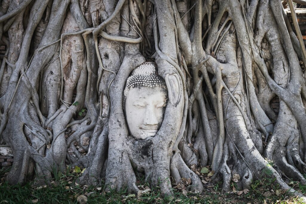 Ayutthaya, Thailand - Tailandia Clásica