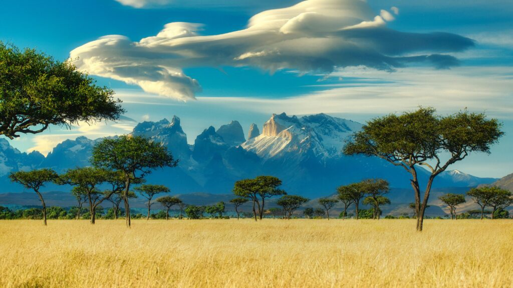 Reserva Nacional Masai Mara, Kenia - Kenia para aventureros