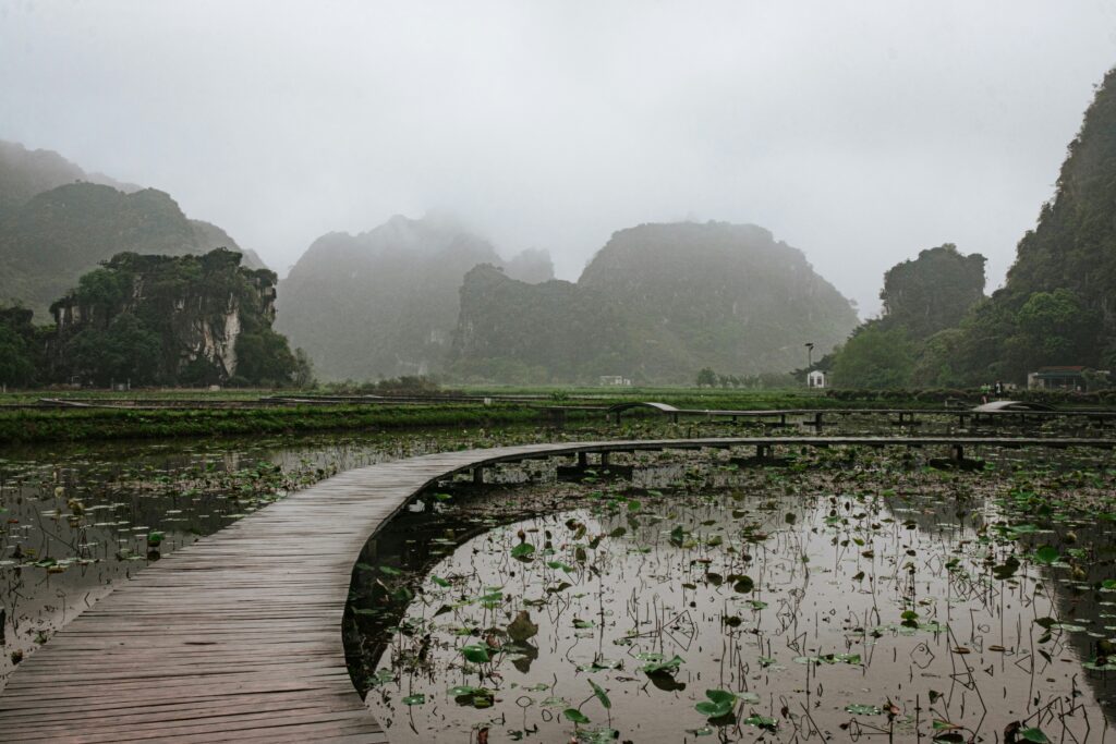 Viajar Asia temporada lluvias: camino de madera entre paisaje brumoso y húmedo - Ninh Bình, Vietnam