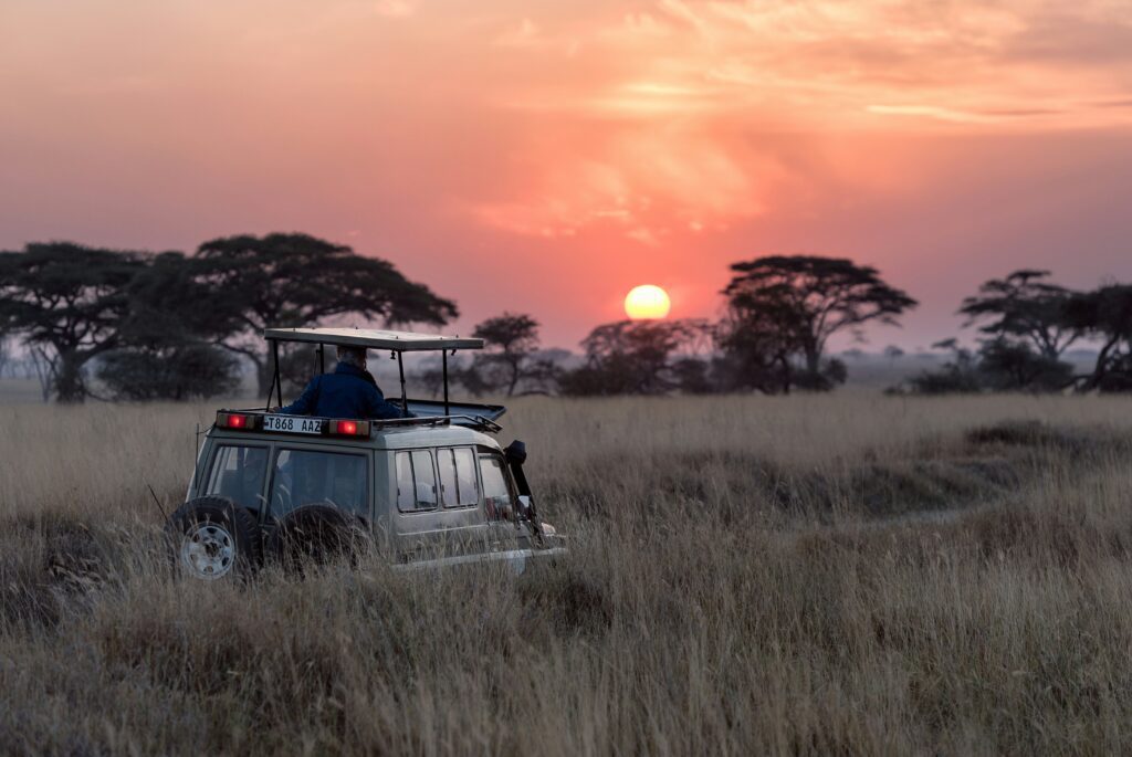 Serengeti, Tanzania - Safari o Japón: cuál es el mejor destino luna de miel exótica safari africano al atardecer