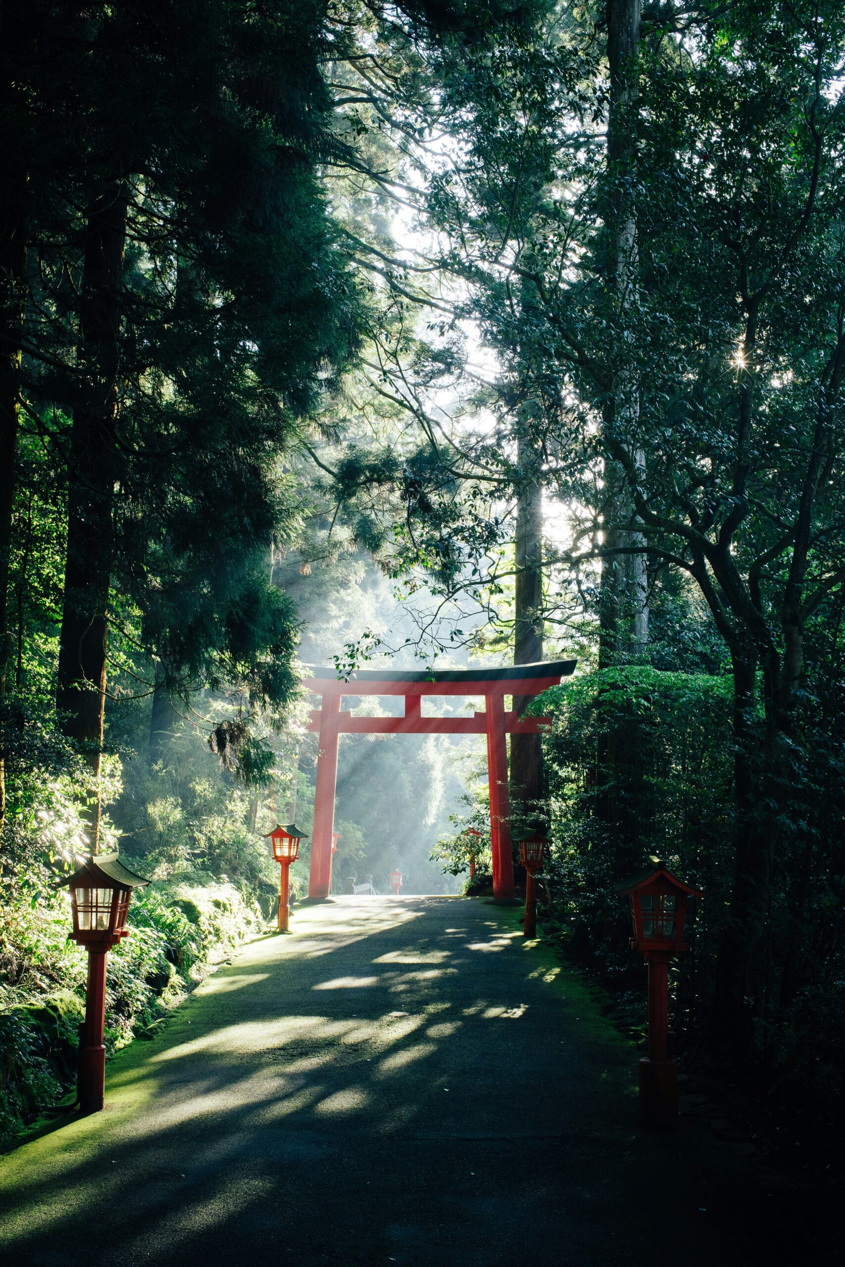 amanecer Santuario de Hakone, Japon