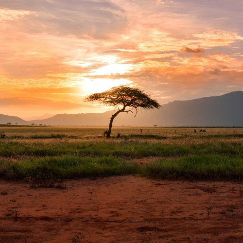 Reserva Nacional Masai Mara, Kenia