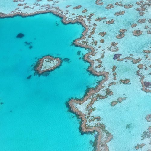 Heart reef, Australia, Great barrier reef