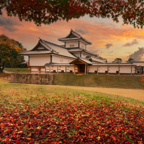 Edificio tradicional japonés en Kanazawa con un prado verde y un árbol en primer plano.