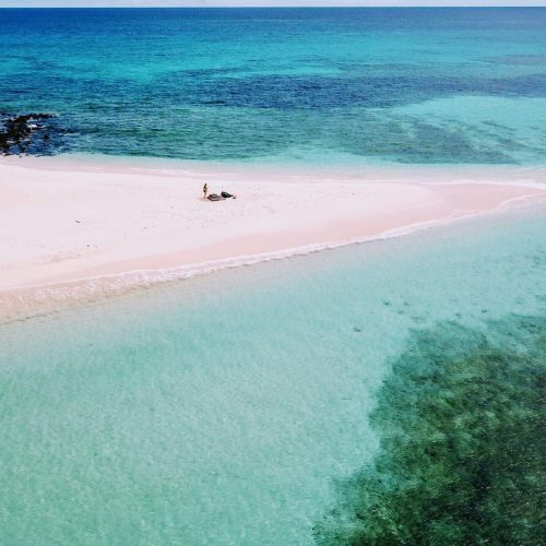 max-LxZwhMna_7w-unsplash