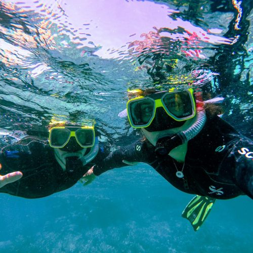 snorkel Great Barrier Reef, Australia