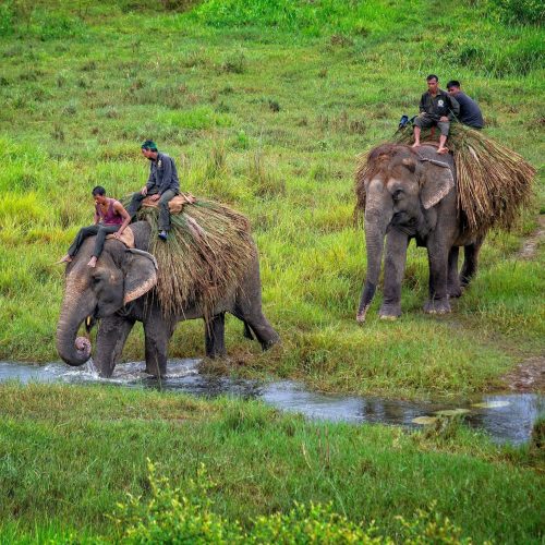 Chitwan National Park, Nepal